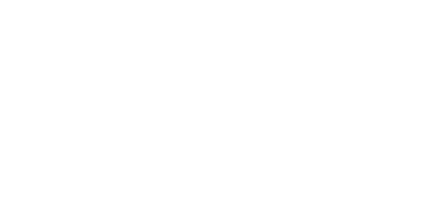 Sinaï Consulting